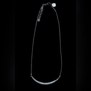 WHBM Delicate Rhinestone Curved Bar Silver-Tone Adjustable Necklace
